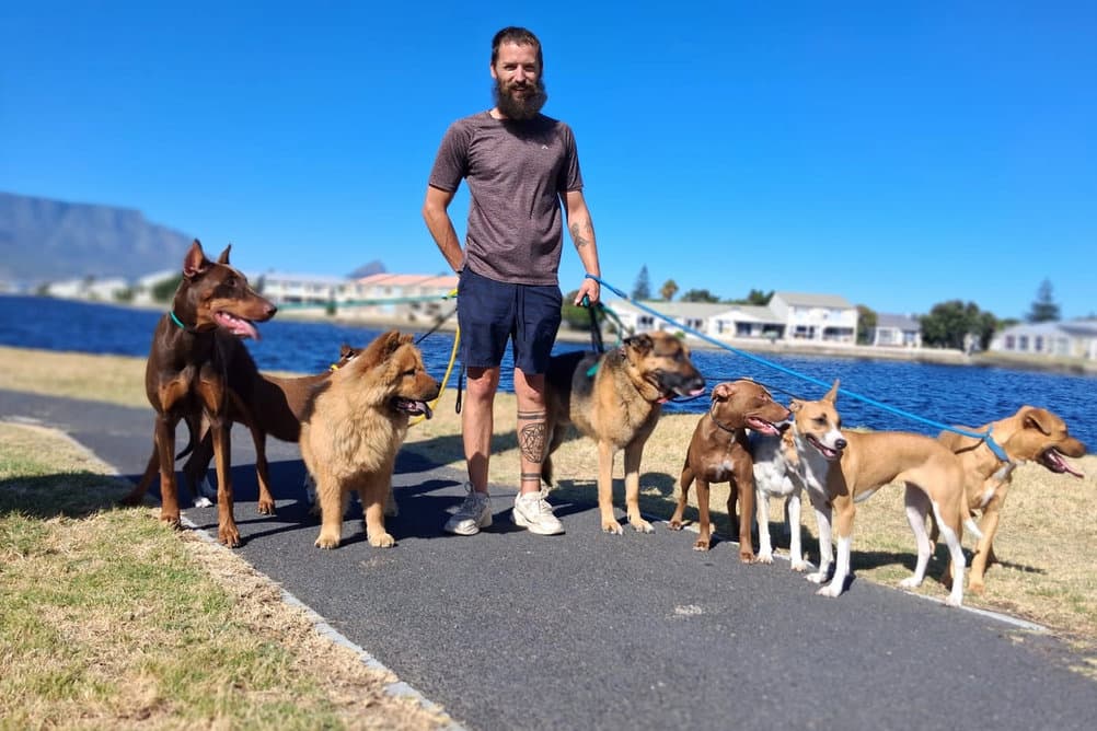 Shaun, Lead Trainer and Walk Specialist