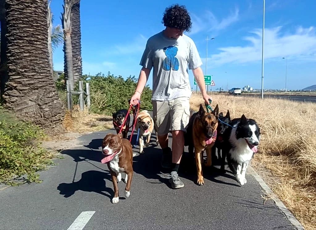Trystan, Daycare & Dog Walking Specialist
